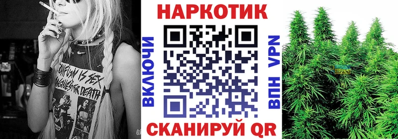 НБОМе Химки