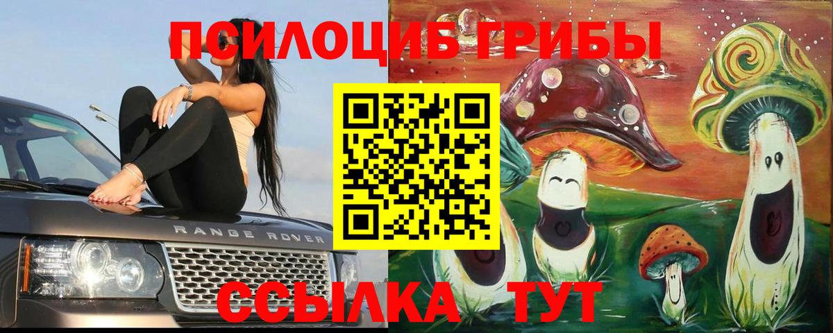 Галлюциногенные грибы Cubensis  Псилоцибиновые грибы Cubensis  Химки  Вход с VPN 