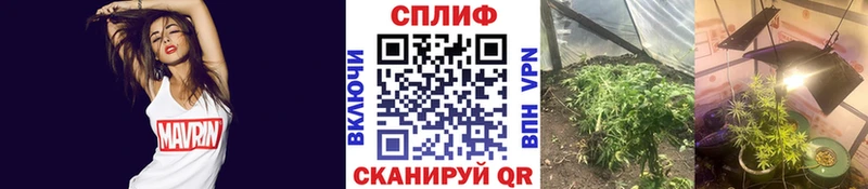 МЕГА как зайти  Химки  Каннабис планчик  закладка 